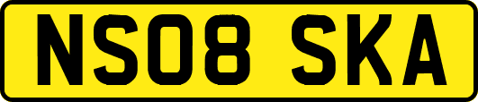 NS08SKA