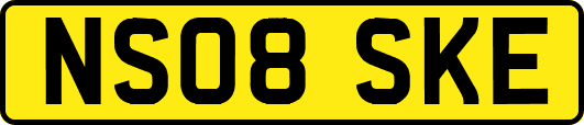 NS08SKE
