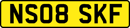 NS08SKF