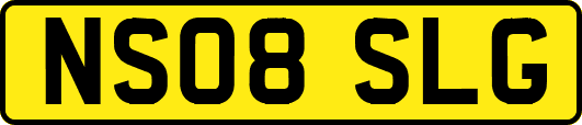 NS08SLG
