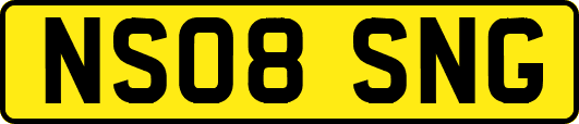 NS08SNG