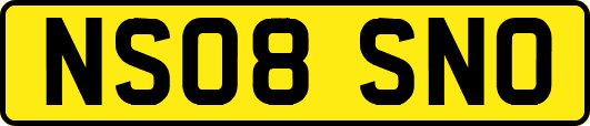 NS08SNO