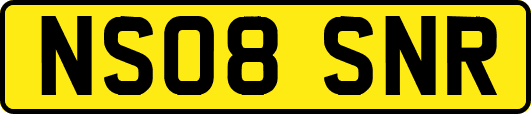 NS08SNR