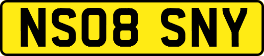 NS08SNY
