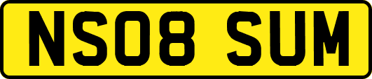 NS08SUM