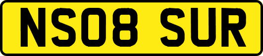 NS08SUR