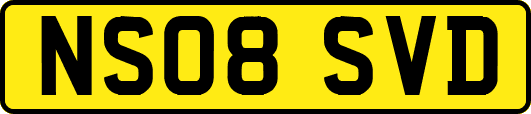 NS08SVD