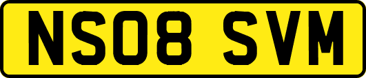 NS08SVM