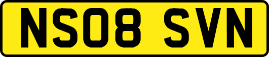 NS08SVN