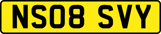NS08SVY