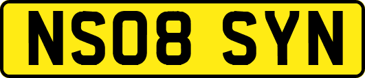 NS08SYN