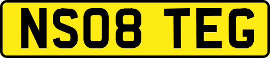 NS08TEG