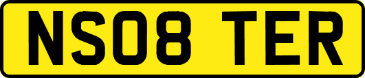 NS08TER