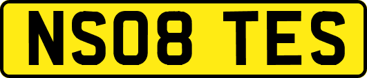 NS08TES