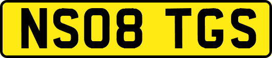 NS08TGS