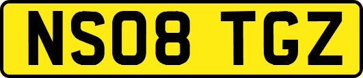 NS08TGZ