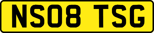 NS08TSG