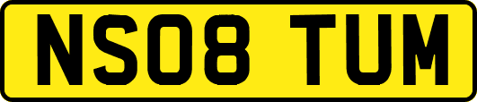 NS08TUM