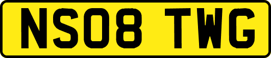 NS08TWG