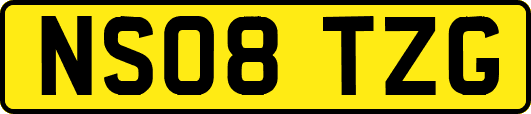 NS08TZG