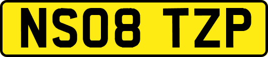 NS08TZP