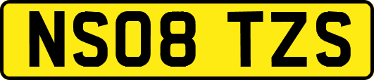 NS08TZS