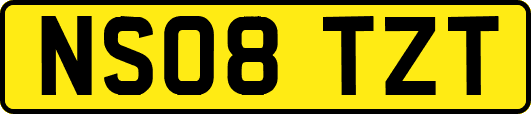 NS08TZT