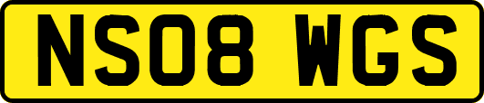 NS08WGS