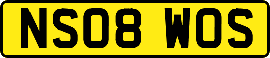 NS08WOS