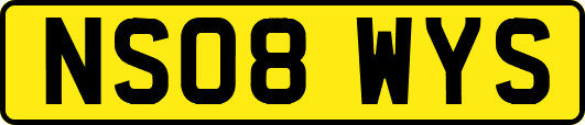 NS08WYS