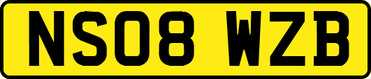 NS08WZB