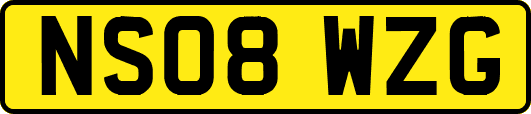 NS08WZG