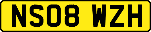NS08WZH