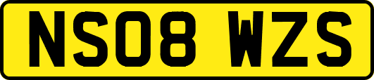 NS08WZS