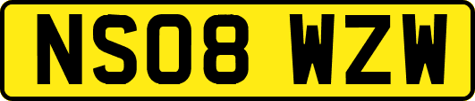 NS08WZW