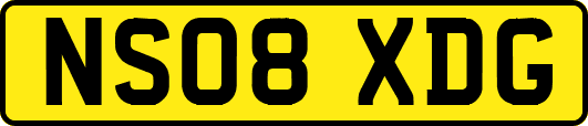 NS08XDG