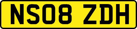 NS08ZDH