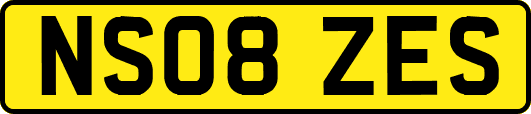 NS08ZES