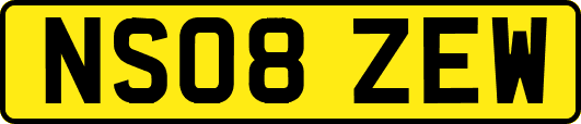 NS08ZEW