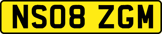 NS08ZGM