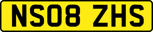 NS08ZHS