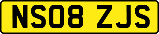 NS08ZJS