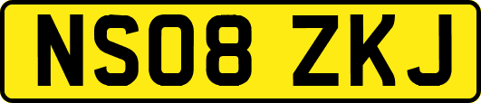 NS08ZKJ
