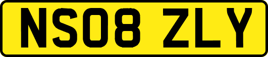 NS08ZLY