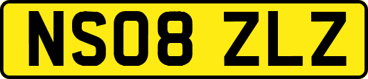 NS08ZLZ