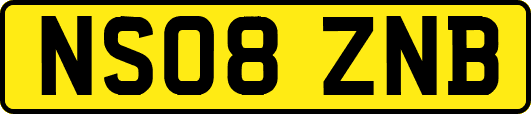 NS08ZNB