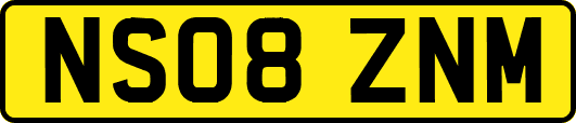 NS08ZNM