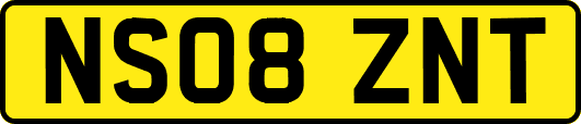 NS08ZNT