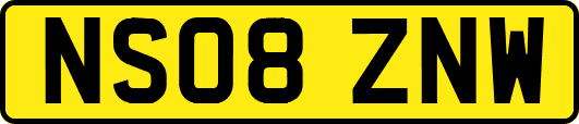 NS08ZNW