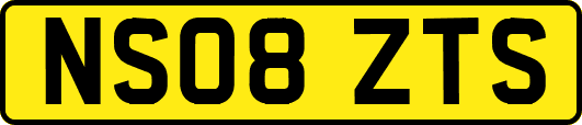 NS08ZTS